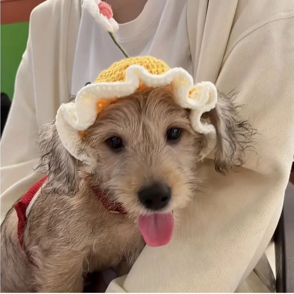 Cat or Dog Crochet Ruffle Sun Hat with Flower - Yellow and White